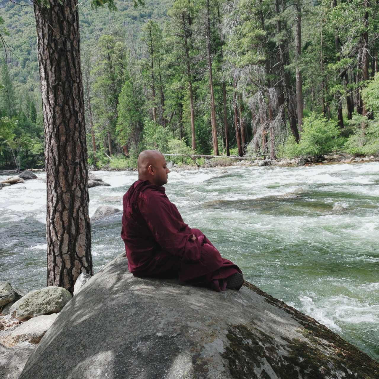 Serenity by the River